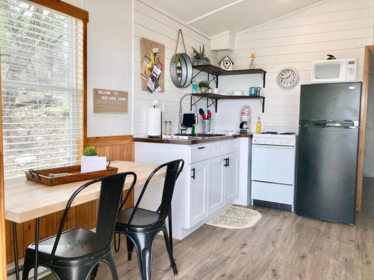 Spring Branch The Perch- Texas Tiny Haus With Amazing Views 빌라 외부 사진
