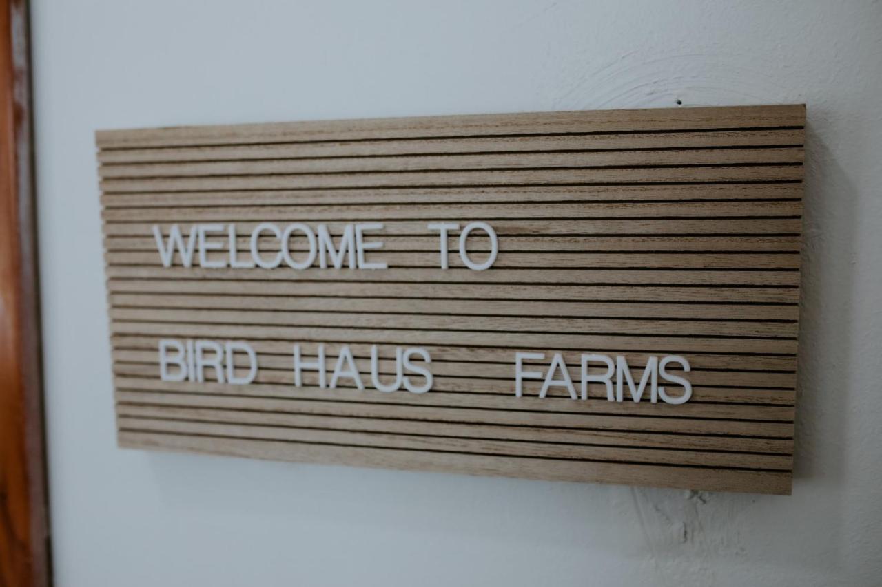Spring Branch The Perch- Texas Tiny Haus With Amazing Views 빌라 외부 사진